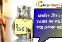 End of career(চাকরি জীবন শেষ)