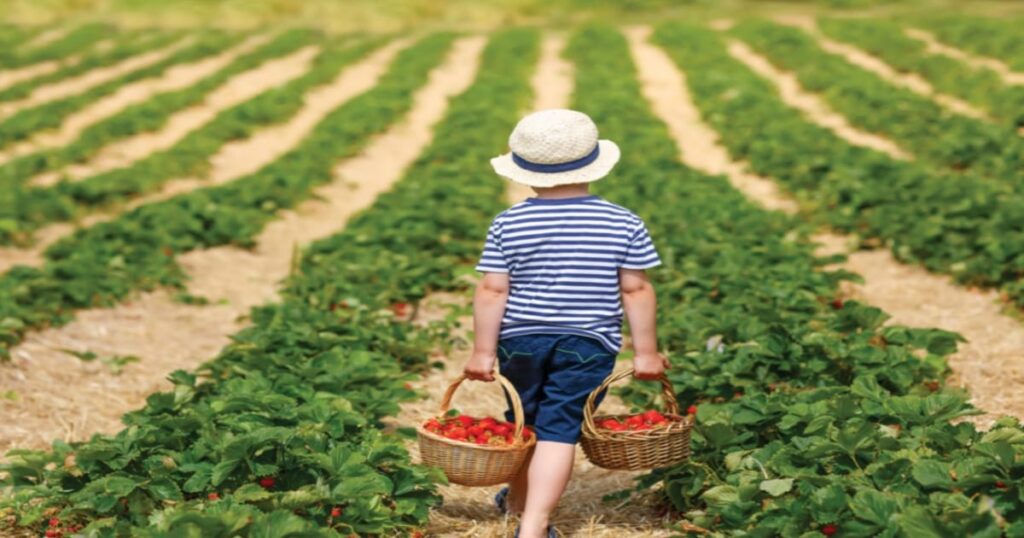 Agri Tourism business