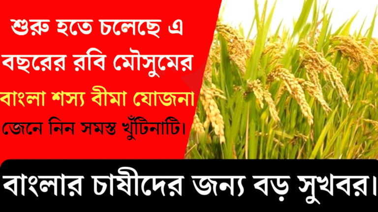 Bengali Crop Insurance Scheme for Rabi season.(রবি মৌসুমের বাংলা শস্য বীমা যোজনা।)