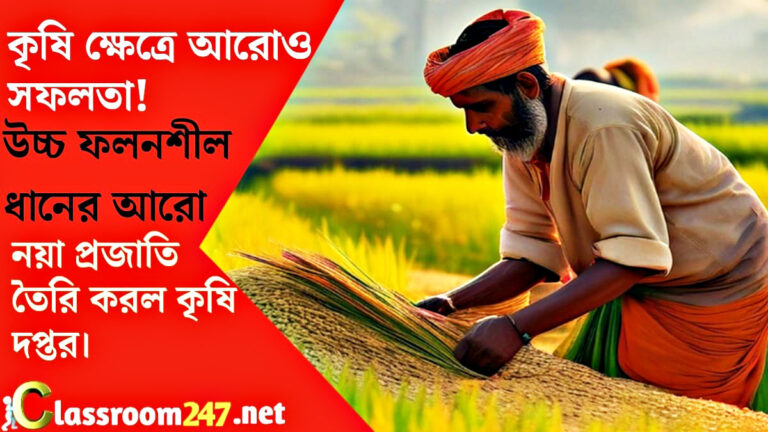 More success in agriculture(কৃষি ক্ষেত্রে আরও সফলতা)