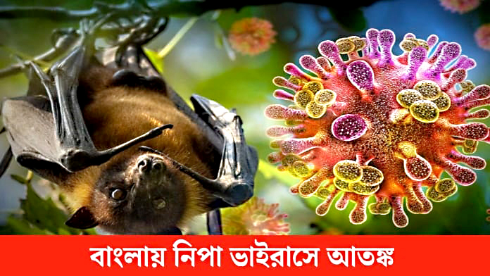 Nipah virus(নিপা ভাইরাস)