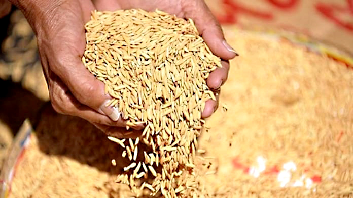 What are the benefits for farmers?(চাষীদের সুবিধা কি রয়েছে?)