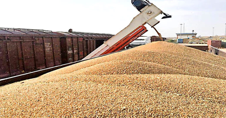 বাংলাদেশে গম রপ্তানিতে নিষেধাজ্ঞা(বাংলাদেশে গম রপ্তানিতে নিষেধাজ্ঞা)