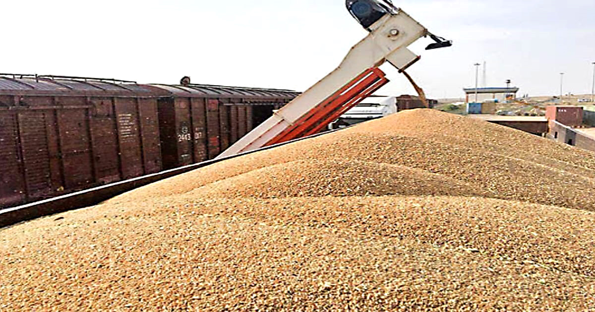 বাংলাদেশে গম রপ্তানিতে নিষেধাজ্ঞা(বাংলাদেশে গম রপ্তানিতে নিষেধাজ্ঞা)