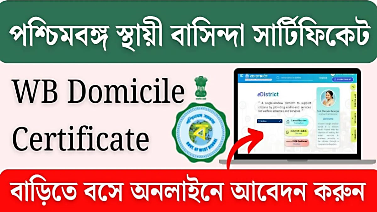 Domicile certificate(ডোমিসাইল সার্টিফিকেট)
