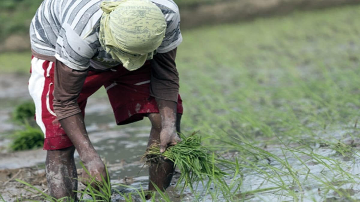 Krishak Bandhu Project for Landless Agricultural Laborers(ভূমিহীন ক্ষেতমজুরদের কৃষক বন্ধু প্রকল্পের টাকা)