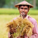 বড় আপডেট! কৃষক বন্ধু প্রকল্পের নতুন অনলাইন পোর্টাল চালু, কীভাবে রেজিস্ট্রেশন করবেন জানুন