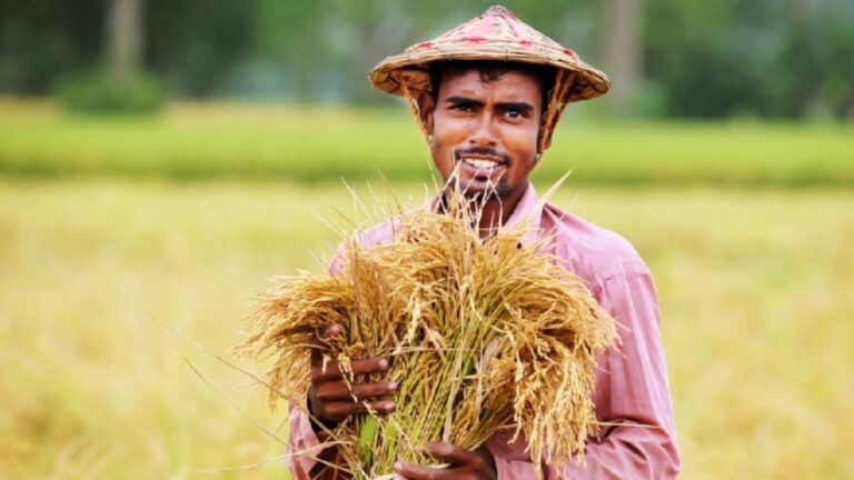 New online portal of Krishak Bandhu project launched(কৃষক বন্ধু প্রকল্পের নতুন অনলাইন পোর্টাল চালু)