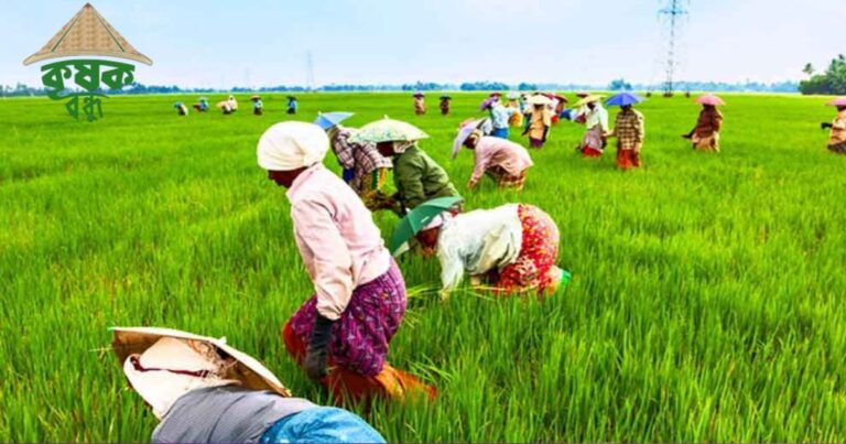 Payment of crop compensation money has begun!(ফসল ক্ষতিপূরণের টাকা দেওয়া শুরু!)